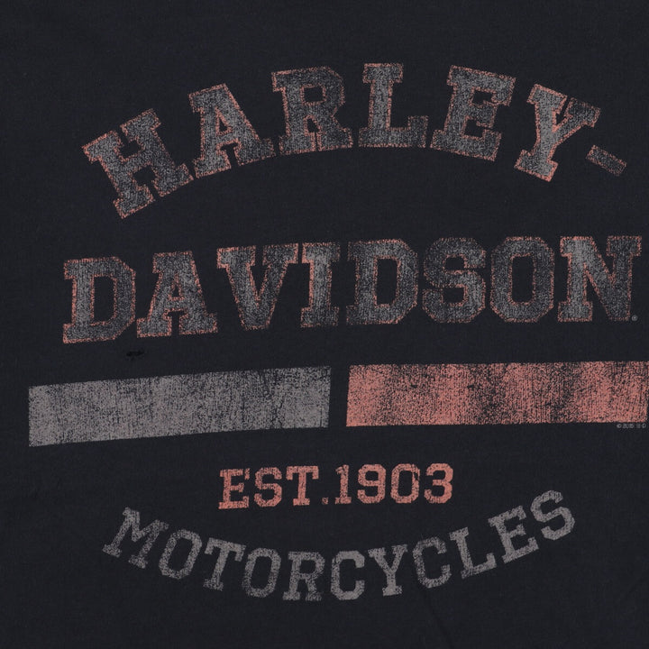 Harley-Davidson Double-sided Print Motorcycle Bike T-Shirt Men's L /eaa342537