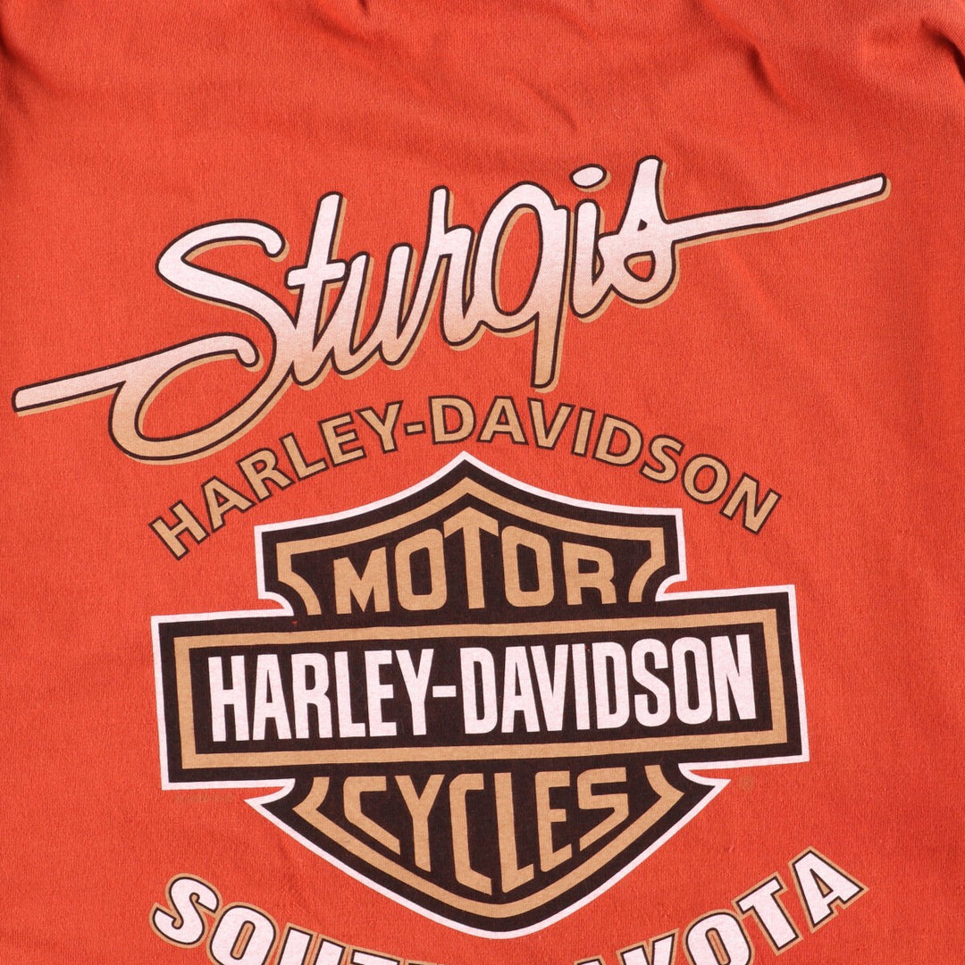 Hanes Harley Davidson Eagle Pattern Double-sided Print Motorcycle Bike T-Shirt Made in USA Men's XL /eaa342733