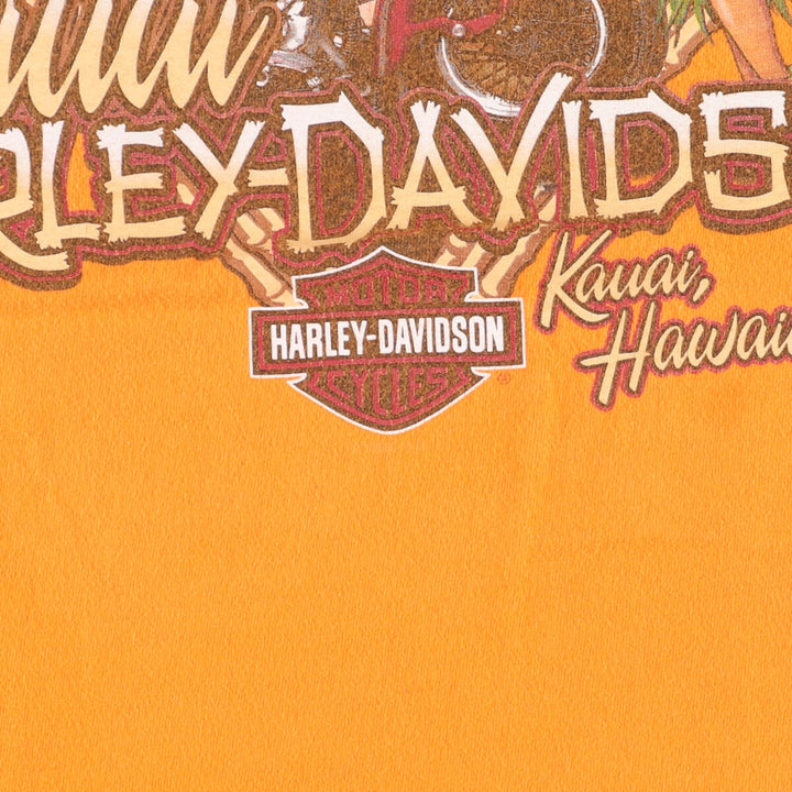 Hanes Harley-Davidson Motorcycle Bike T-shirt Made in USA Men's L /eaa354400