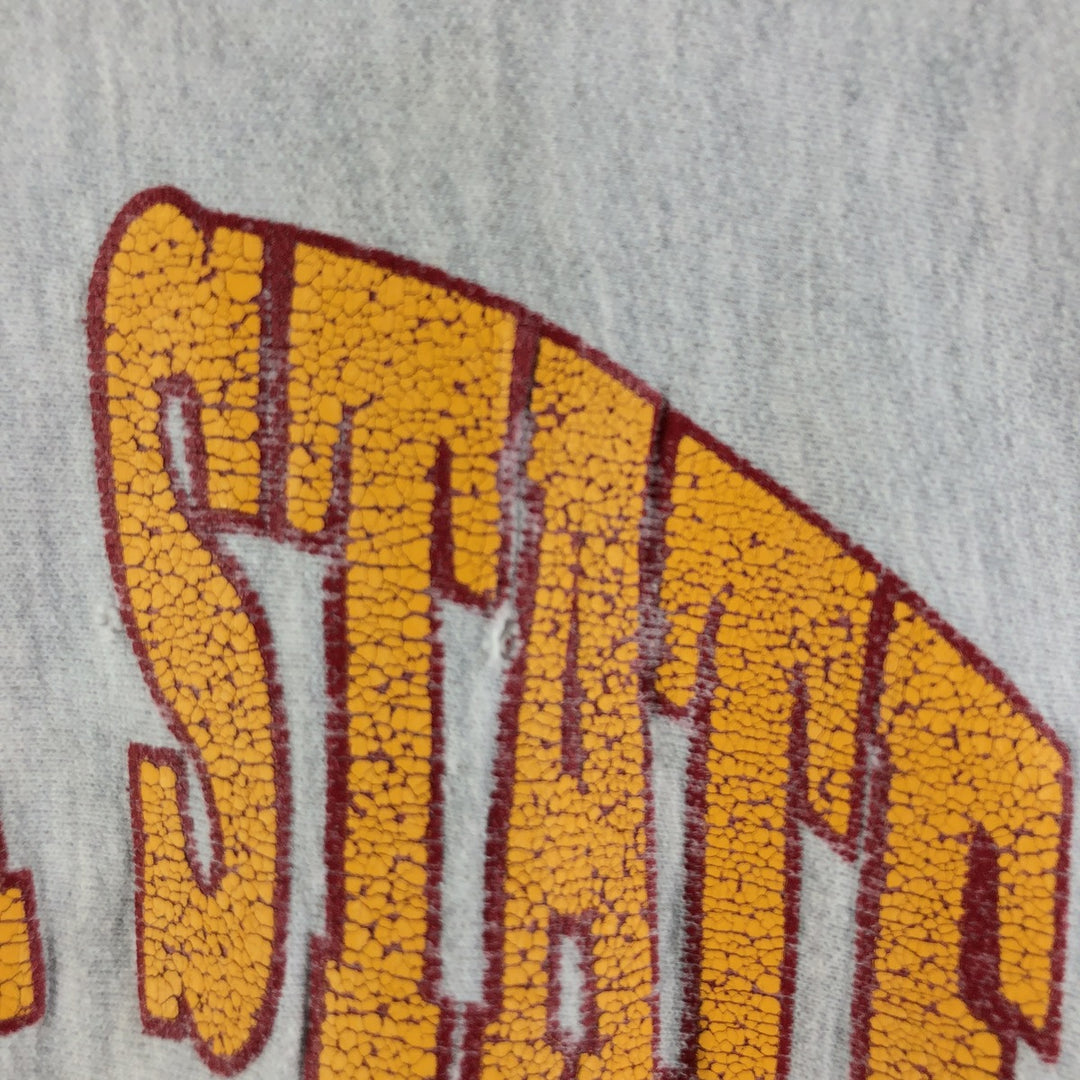 80's Champion Reverse Weave Iowa State University College Sweatshirt, Made in USA, Men's XL /eaa362889