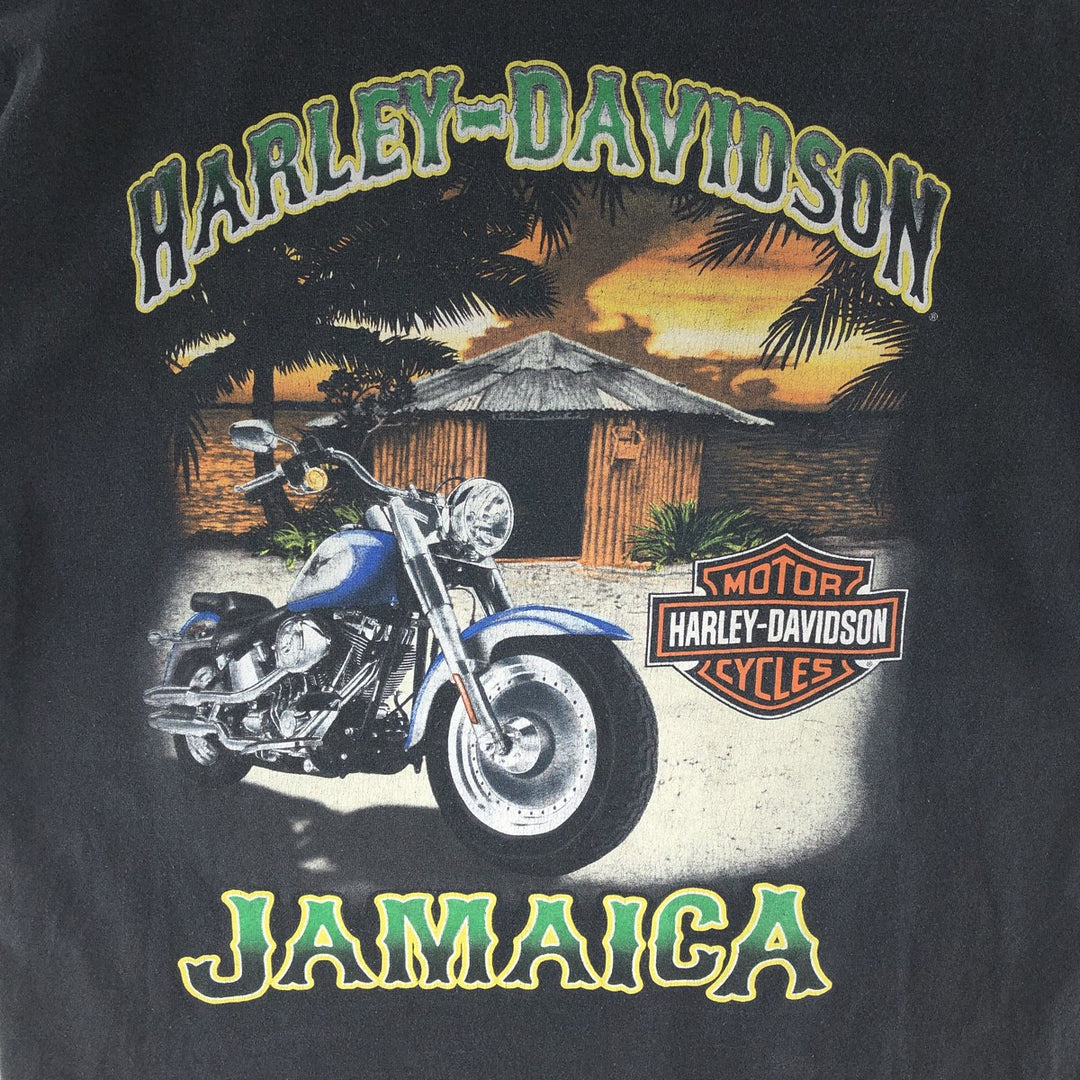 Harley-Davidson Double-sided Print Motorcycle Bike T-Shirt Men's L /eaa381770