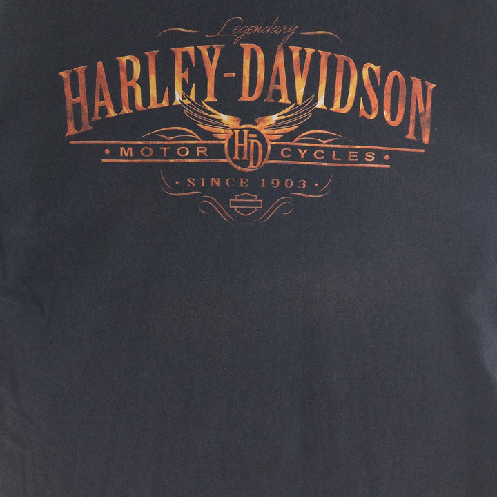 00'S Harley-Davidson HANES Motorcycle Bike T-shirt Made in USA Men's XL /eaa390141