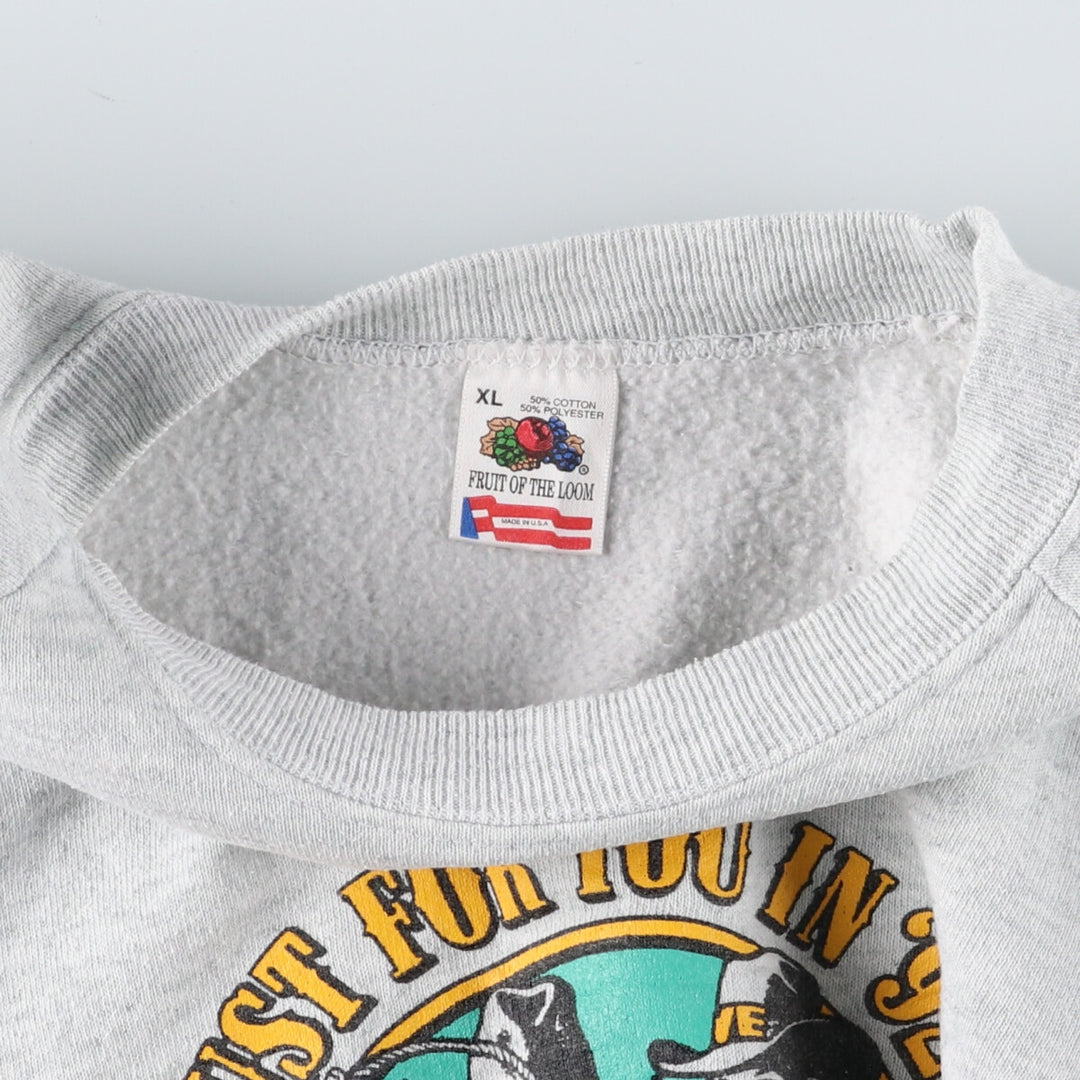 90'S Fruit of the Loom printed sweatshirt, made in the USA, men's XL size, vintage /eaa402891