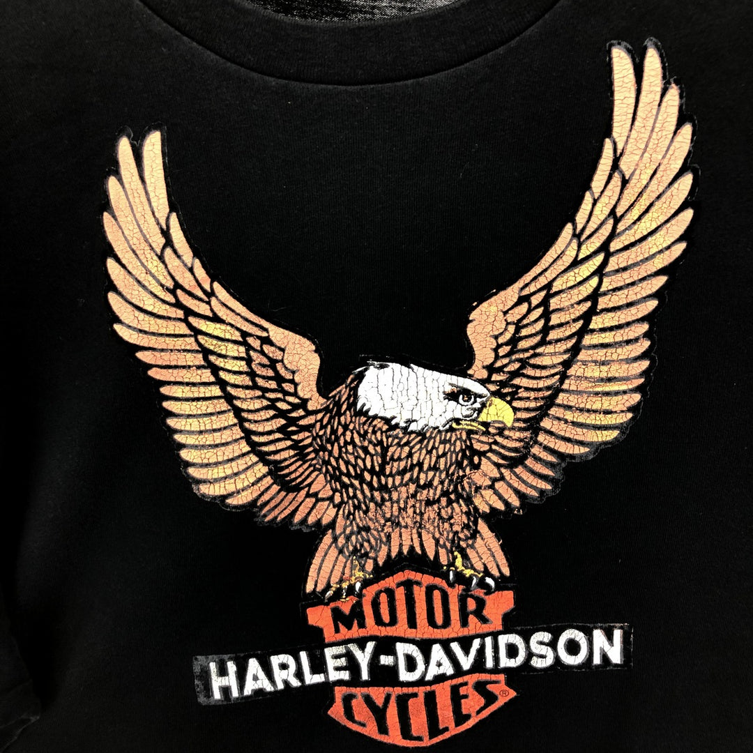 Harley-Davidson Eagle Pattern Long T-shirt Men's L size / eaa410086