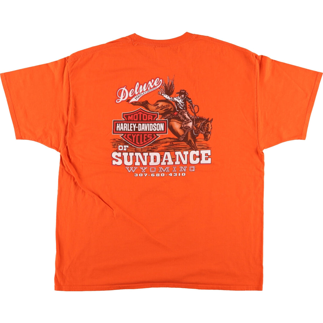 Harley-Davidson Hanes Motorcycle Bike T-shirt Men's XXL cotton orange type Vintage Second Hand