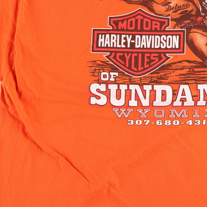 Harley-Davidson Hanes Motorcycle Bike T-shirt Men's XXL cotton orange type Vintage Second Hand