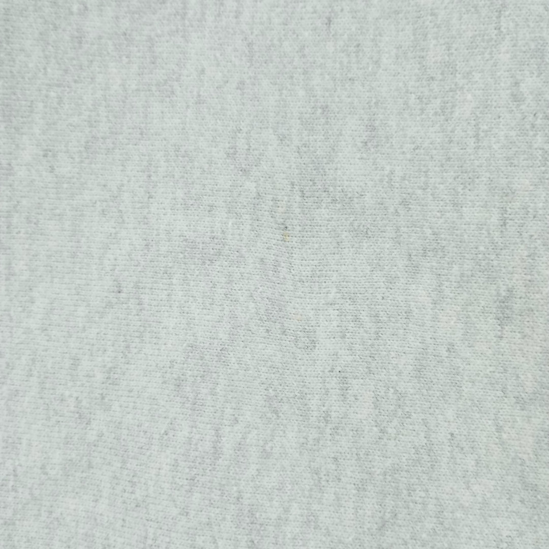 Champion REVERSE WEAVE Reverse Weave Printed Sweatshirt Trainer Men's M size cotton gray type Vintage Second Hand