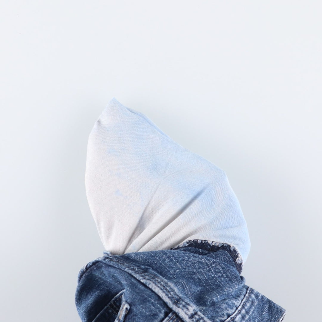 Wrangler HERO Denim Painter Pants for Men, W34 equivalent cotton blue type Vintage Second Hand