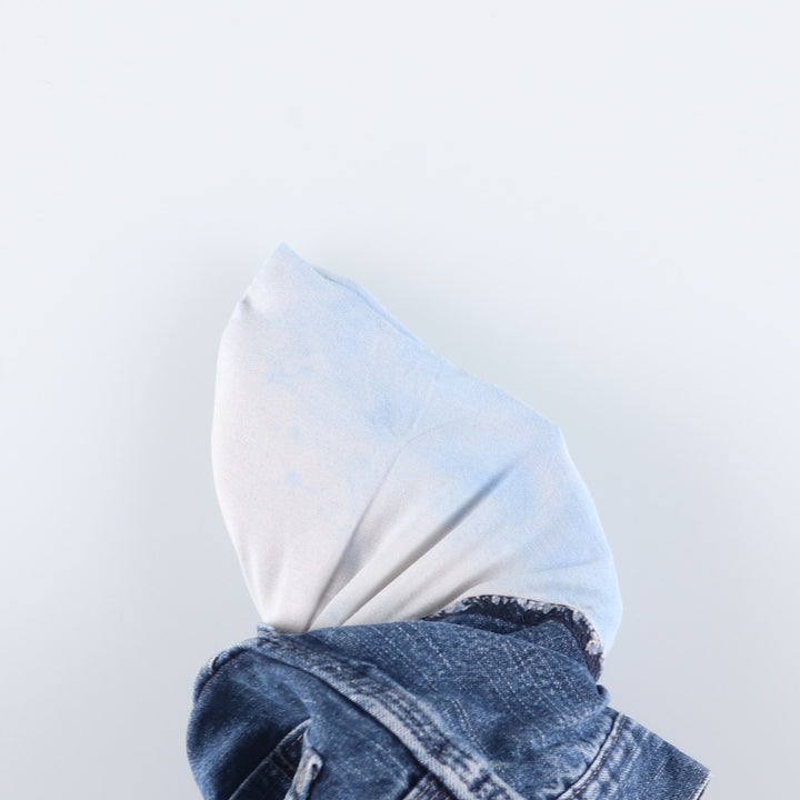 Wrangler HERO Denim Painter Pants for Men, W34 equivalent cotton blue type Vintage Second Hand