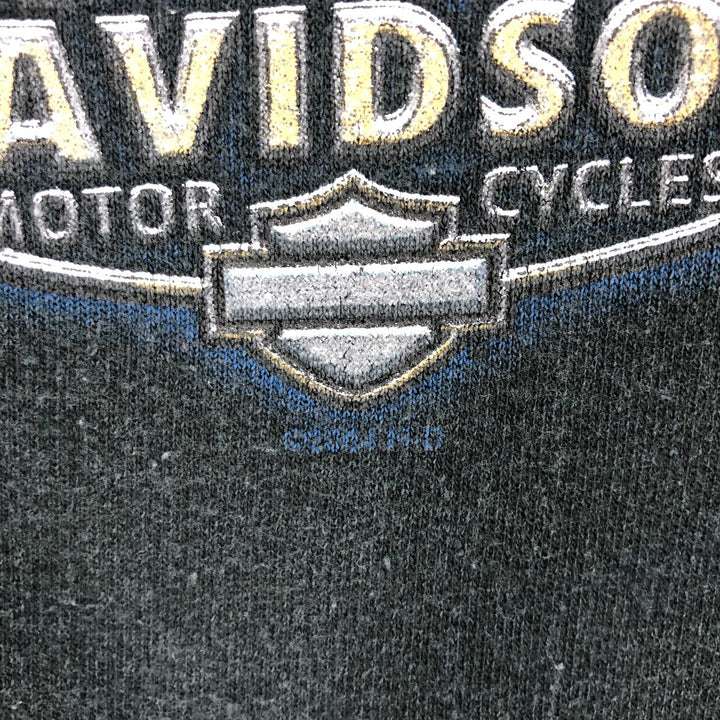 00'S Harley-Davidson Double-sided Printed Sweatshirt, Men's L /eaa426481