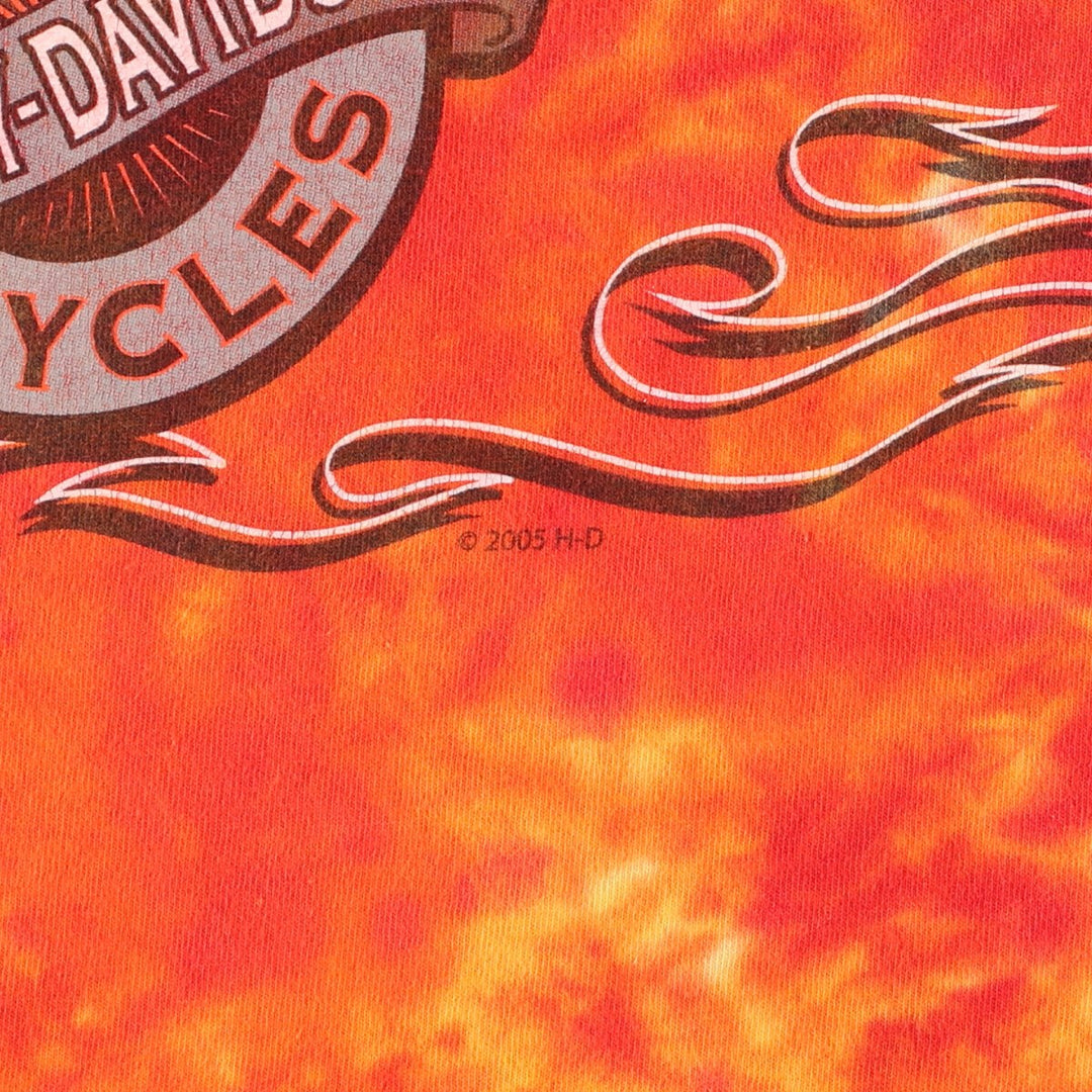 00'S Harley-Davidson Tie-dye Pattern Motorcycle Bike T-shirt Made in USA Men's XL /eaa429211
