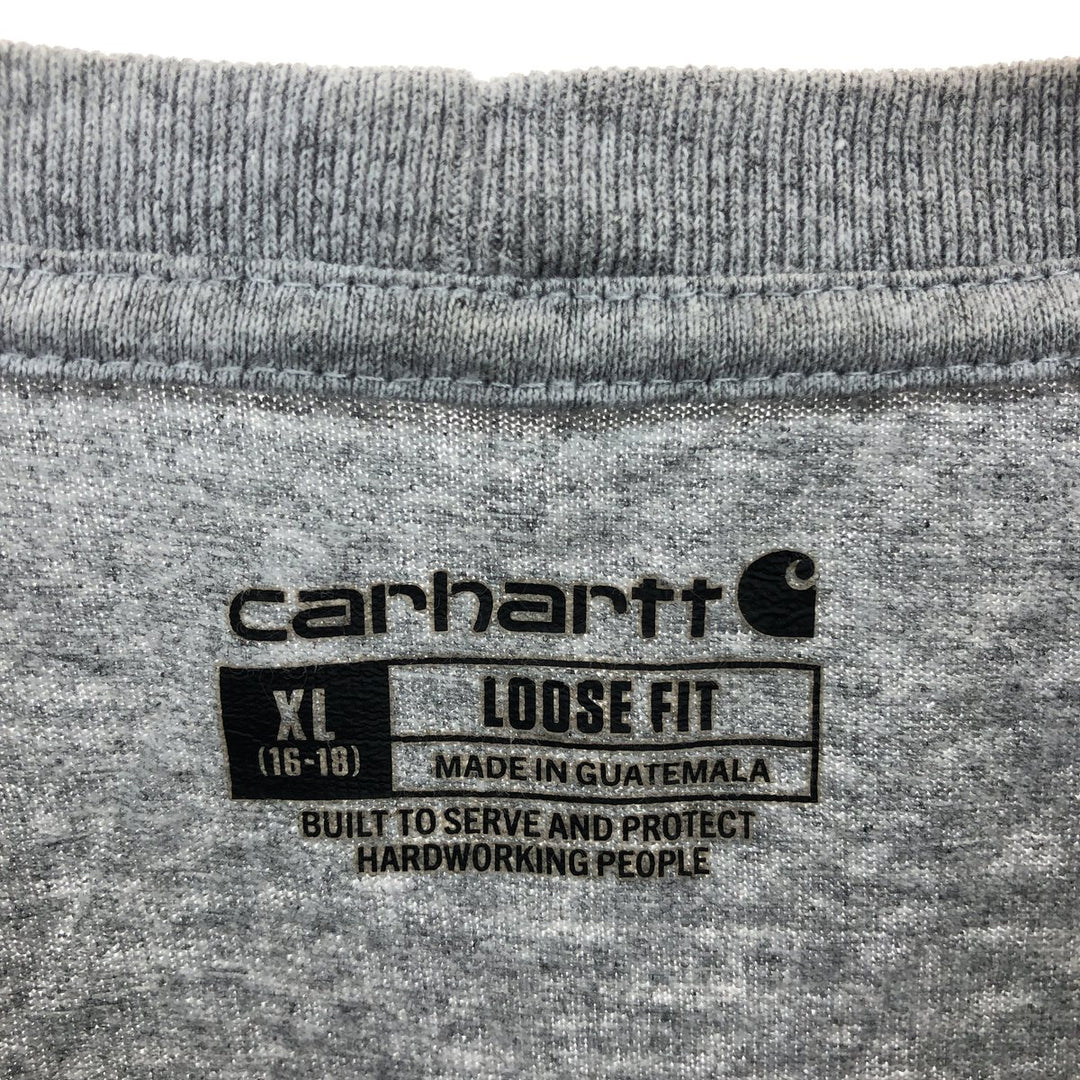 Carhartt Loose Fit Long T-shirt, Men's L /eaa429801