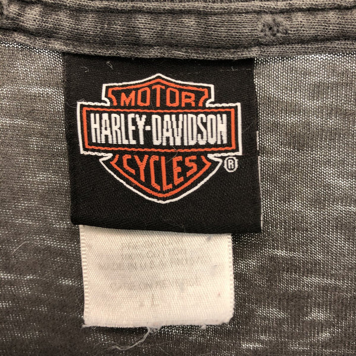 00'S Harley-Davidson Hanes Back Print Motorcycle Bike T-Shirt Made in USA Men's L /eaa430205