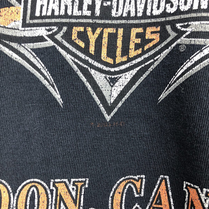 Big size 00'S Harley Davidson Eagle Pattern Fire Pattern Long T-shirt Long T Men's XXXL equivalent /eaa432258