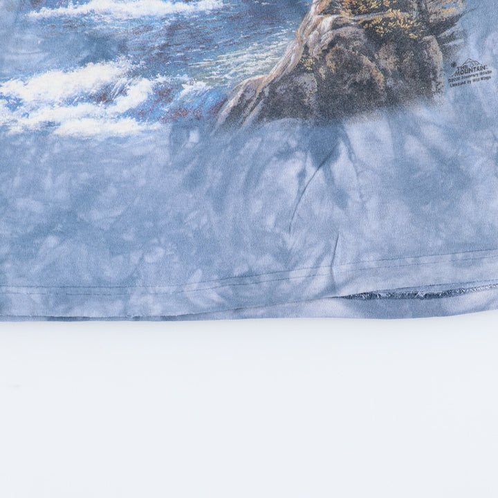 THE MOUNTAIN Eagle Pattern Tie-dye Pattern Long T-shirt Made in USA Men's L /eaa433129