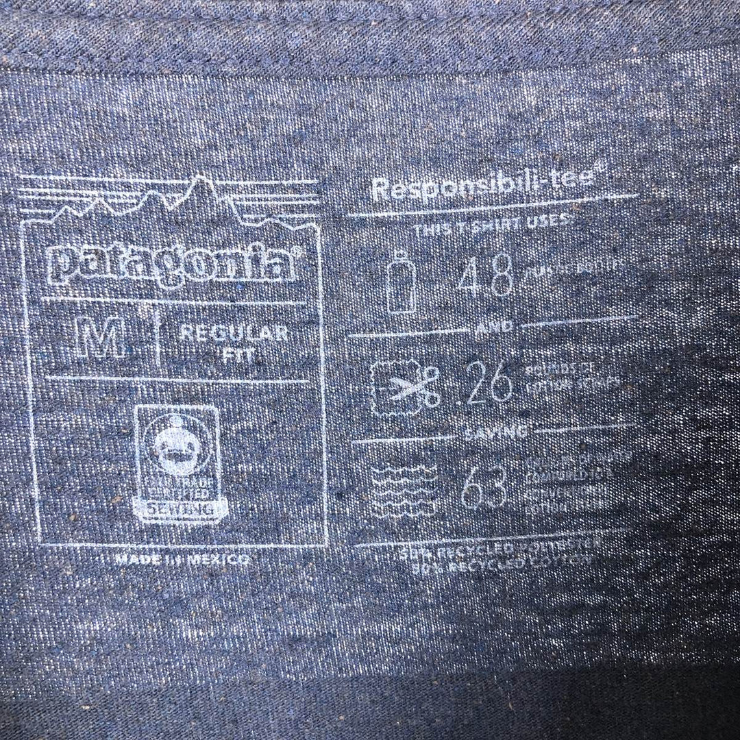 Patagonia REGULAR FIT 38432FA19 Back Print Long T-Shirt Long T Men's M /eaa434265