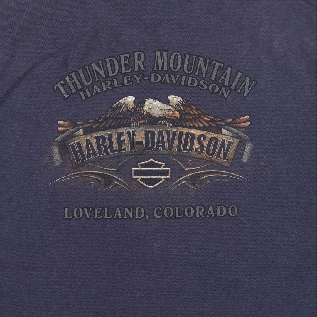 Harley-Davidson Eagle Pattern Motorcycle Bike T-shirt Men's XL equivalent /eaa437153