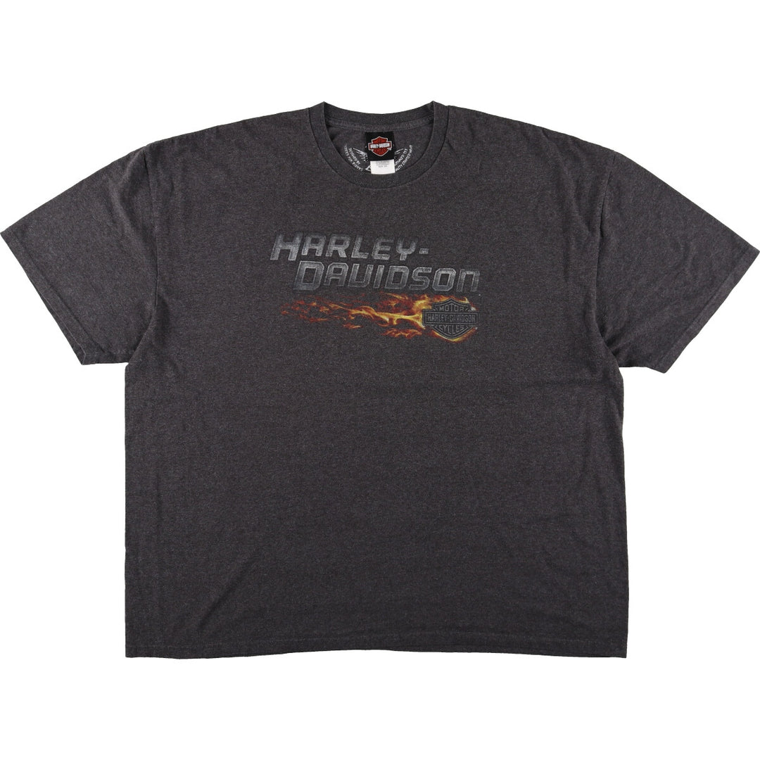 Big size Harley-Davidson motorcycle bike T-shirt for men, equivalent to XXXL / eaa437188