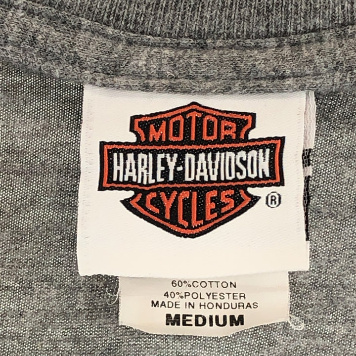 Harley-Davidson HANES Motorcycle Bike T-shirt Men's M /eaa437287