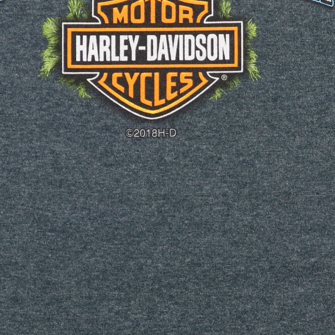 Harley-Davidson Motorcycle Bike T-shirt Men's XL /eaa437368