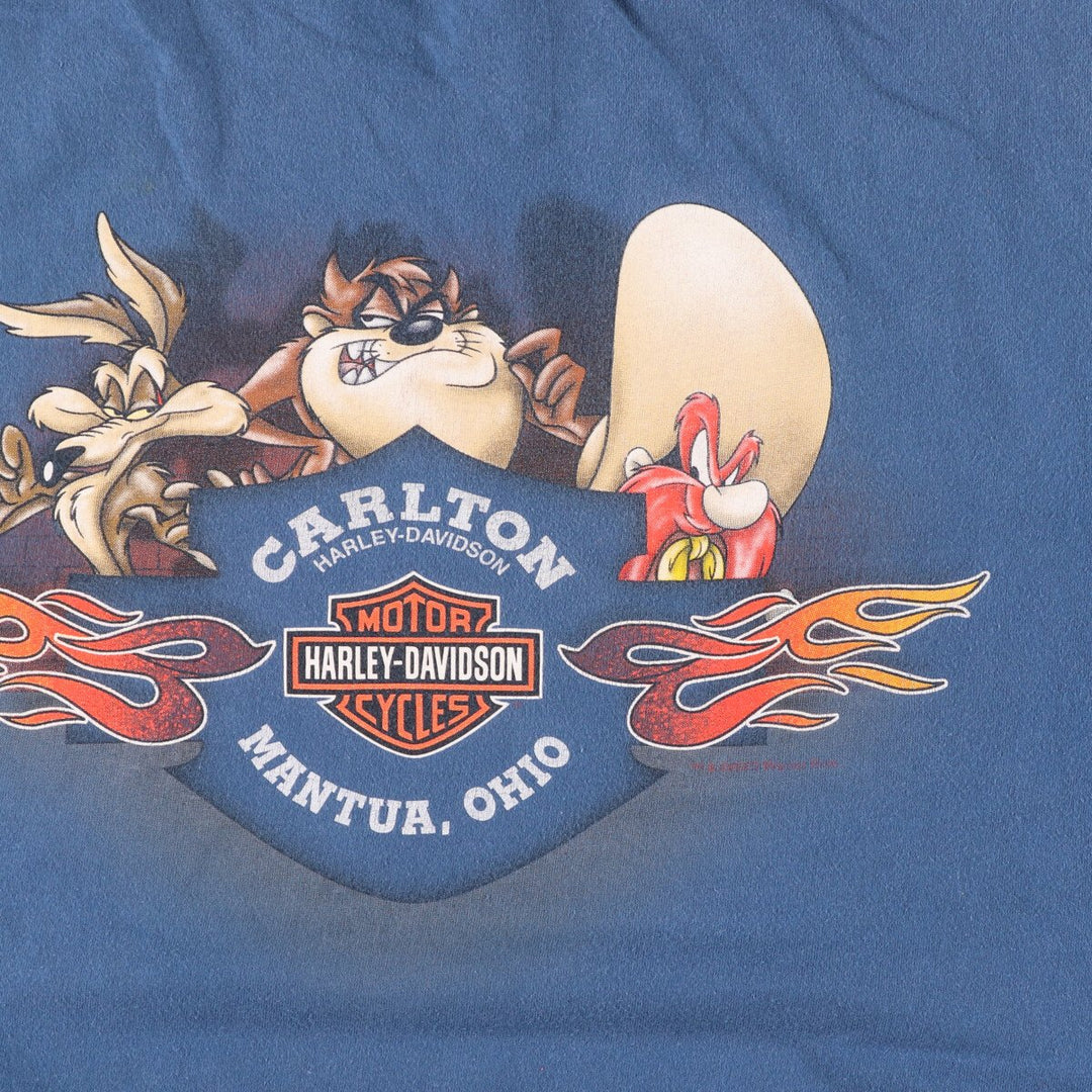 Harley-Davidson LOONEY TUNES Motorcycle Bike T-shirt Men's XL equivalent /eaa437852