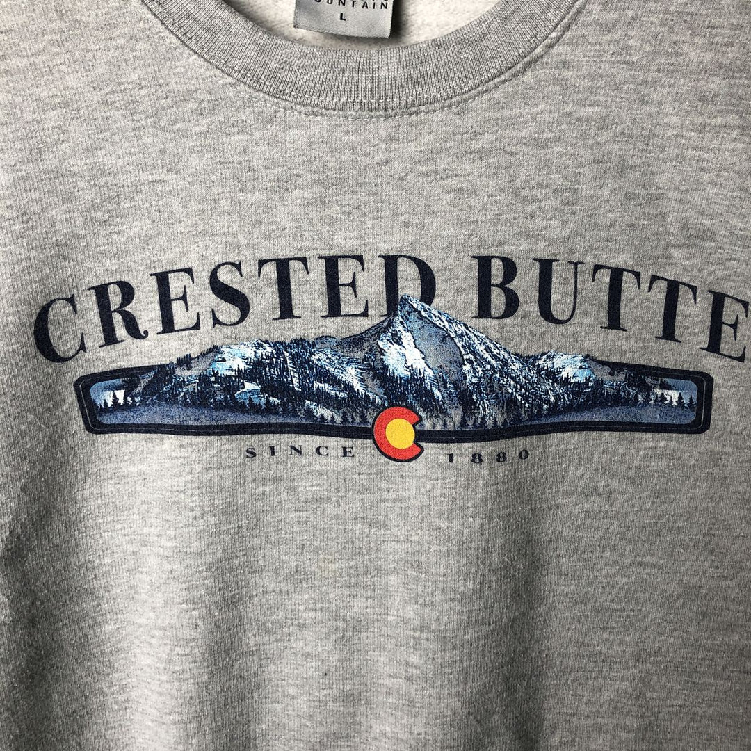 PRAIRIE MOUNTAIN Printed Sweatshirt, Men's Size L cotton gray type Vintage Second Hand