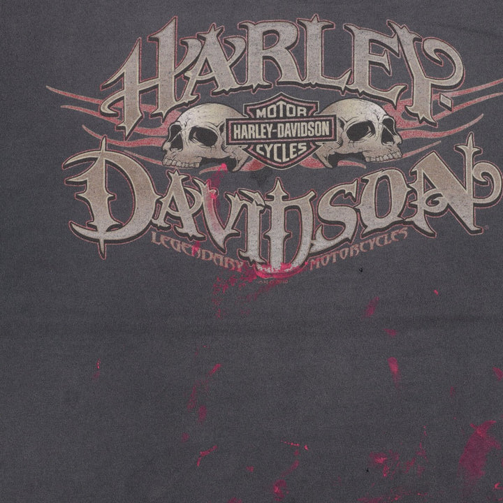 Harley-Davidson Skull Pattern Motorcycle Bike T-shirt Men's L /eaa457377