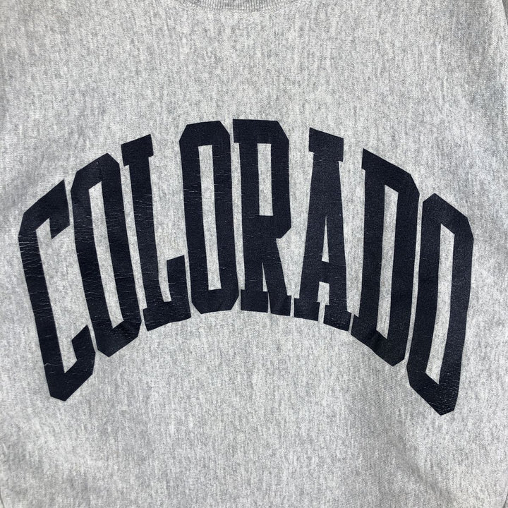 Vintage 90'S DESERT SPORTSWEAR college sweatshirt, made in the USA, size L, men's cotton gray type Vintage Second Hand