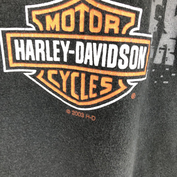 Big size 00'S Harley-Davidson motorcycle bike T-shirt made in USA, men's XXXL equivalent /eaa461951