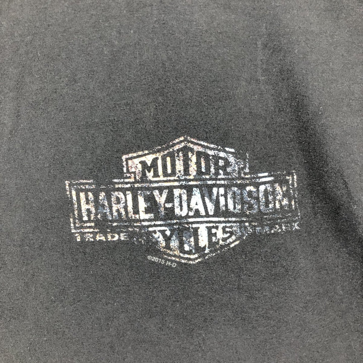 Harley-Davidson Hanes Motorcycle Bike T-shirt Men's XL equivalent /eaa464368