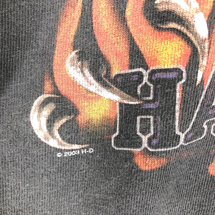 00'S Harley-Davidson Fire Pattern Long T-Shirt, Men's M / eaa464886