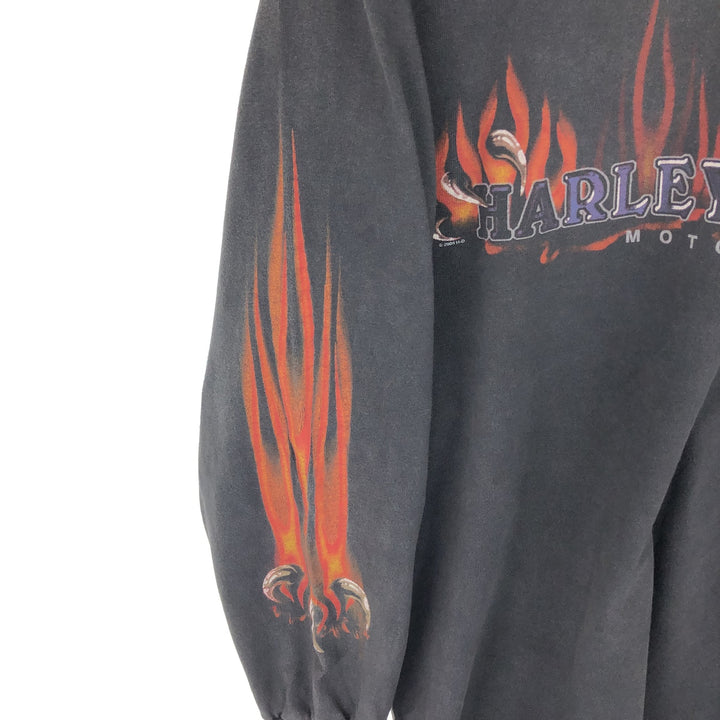 00'S Harley-Davidson Fire Pattern Long T-Shirt, Men's M / eaa464886