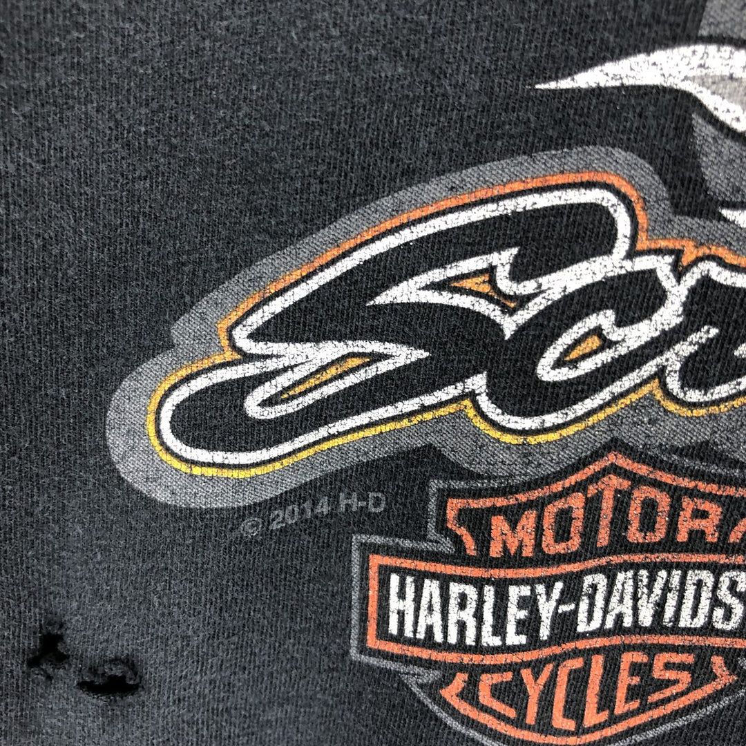 Harley-Davidson Hanes Motorcycle Bike T-shirt Men's XL equivalent /eaa467135