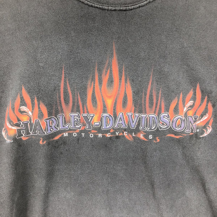 00'S Harley-Davidson Fire Pattern Long T-Shirt, Made in USA, Men's XL /eaa467335