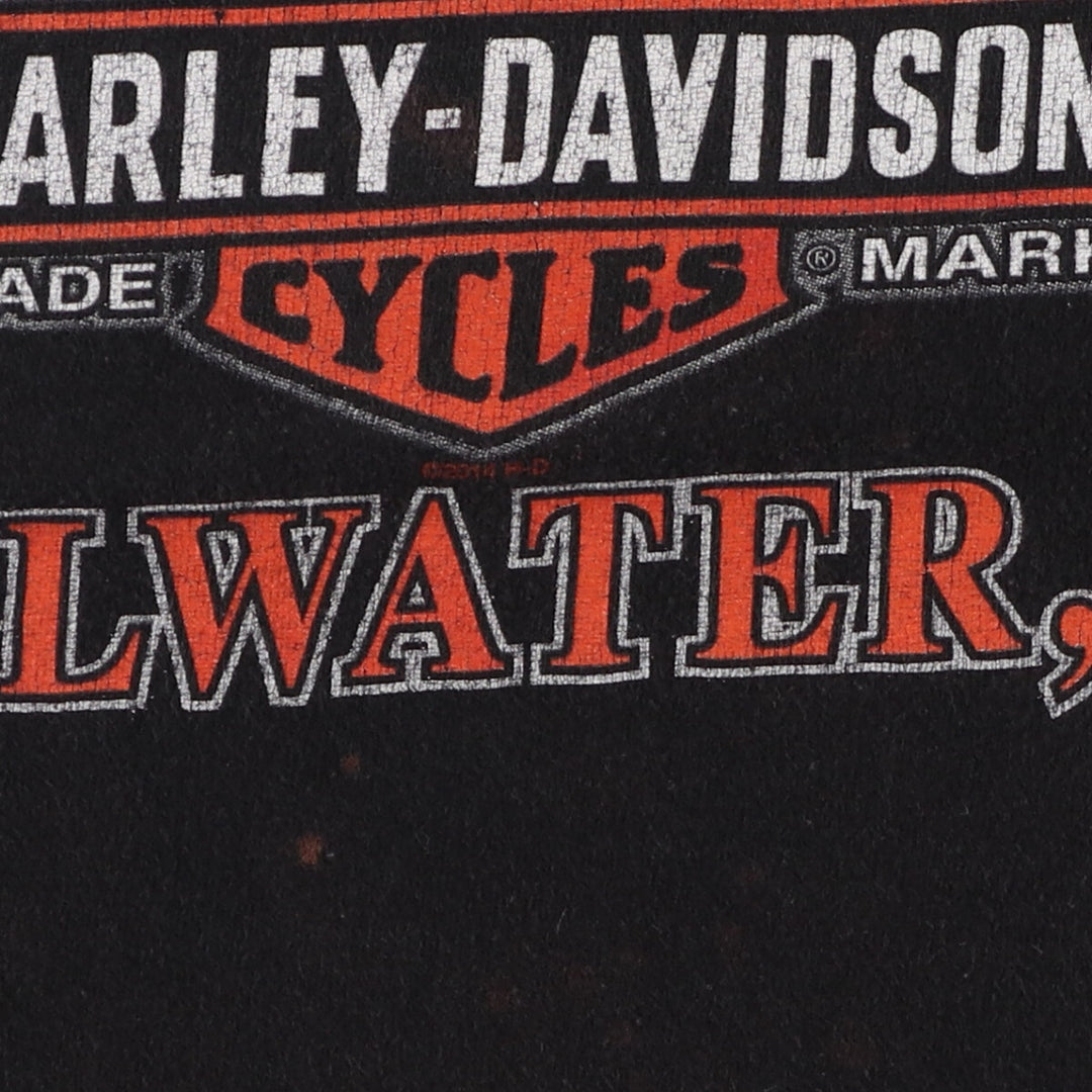 Harley-Davidson Eagle Pattern Fire Pattern Motorcycle Bike T-shirt Men's L size / eaa471077