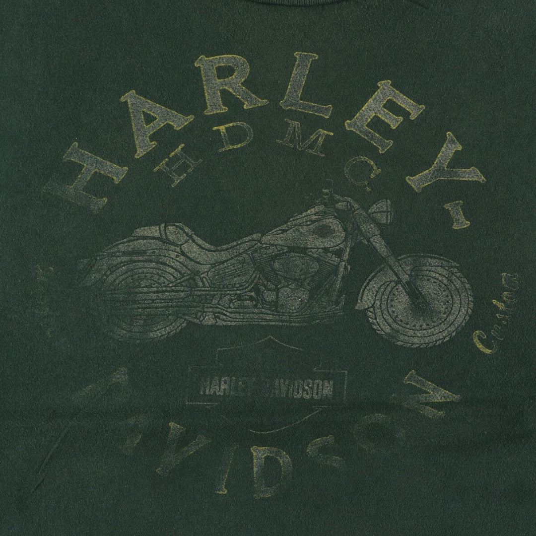 Big size Harley-Davidson motorcycle bike T-shirt for men, equivalent to XXXL / eaa471321