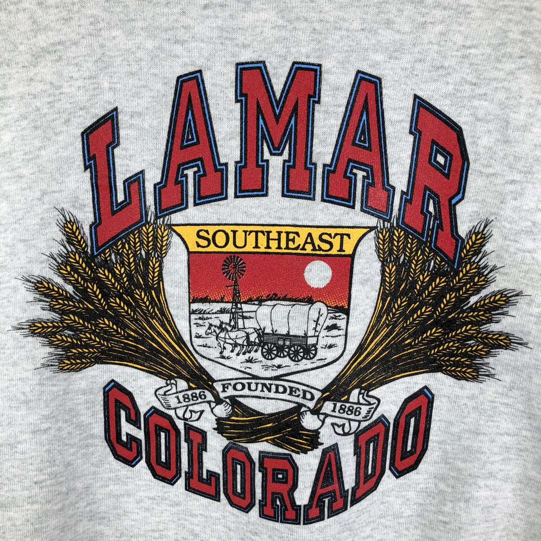 2000'S Fruit of the Loom triple print college sweatshirt, men's size XL cotton gray type Vintage Second Hand