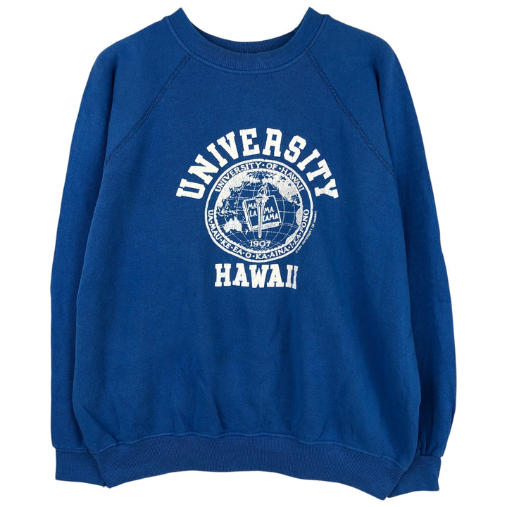 Vintage 1980'S Hanes college sweatshirt, made in the USA, size L, men's cotton blue type Vintage Second Hand