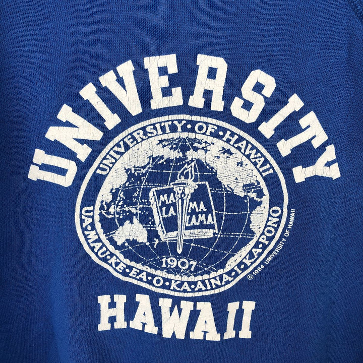 Vintage 1980'S Hanes college sweatshirt, made in the USA, size L, men's cotton blue type Vintage Second Hand