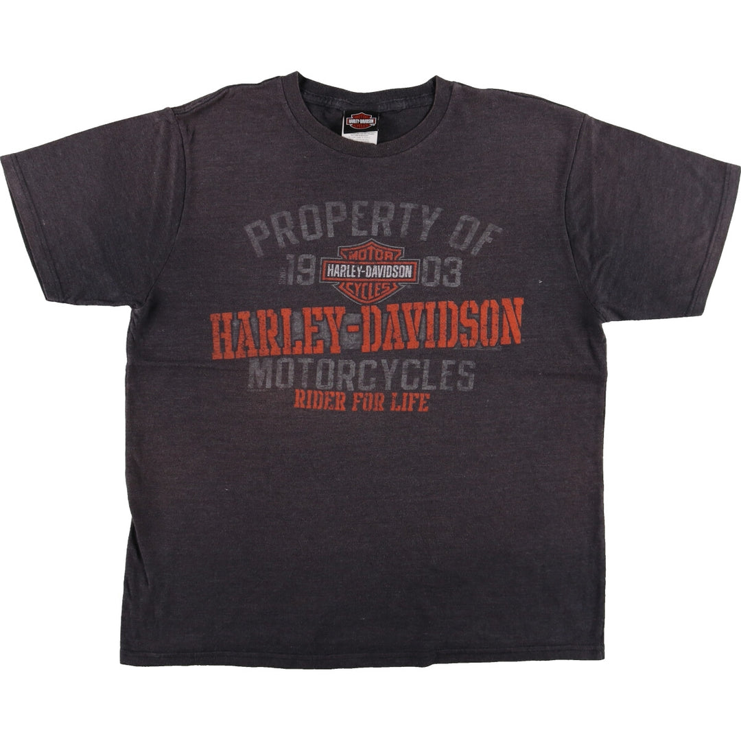 Harley-Davidson Motorcycle Bike T-shirt Men's XL equivalent /eaa490721