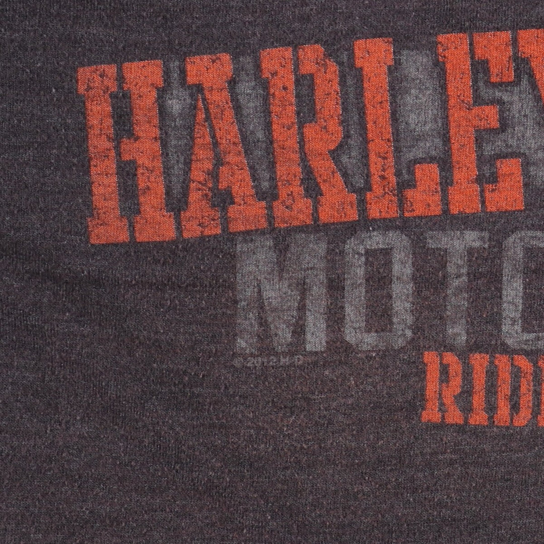 Harley-Davidson Motorcycle Bike T-shirt Men's XL equivalent /eaa490721