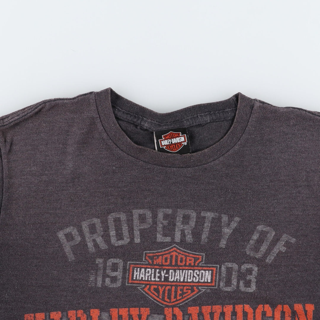 Harley-Davidson Motorcycle Bike T-shirt Men's XL equivalent /eaa490721