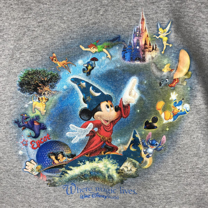Hanes Disney WHERE MAGIC LIVES Character Sweatshirt Pullover Hoodie, Women's Size M (Equivalent), Vintage cotton gray type Vintage Second Hand