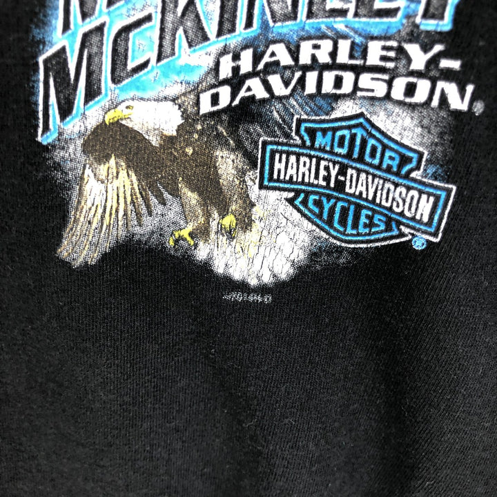 Big size Harley-Davidson back print long T-shirt, men's XXXL equivalent / eaa497357