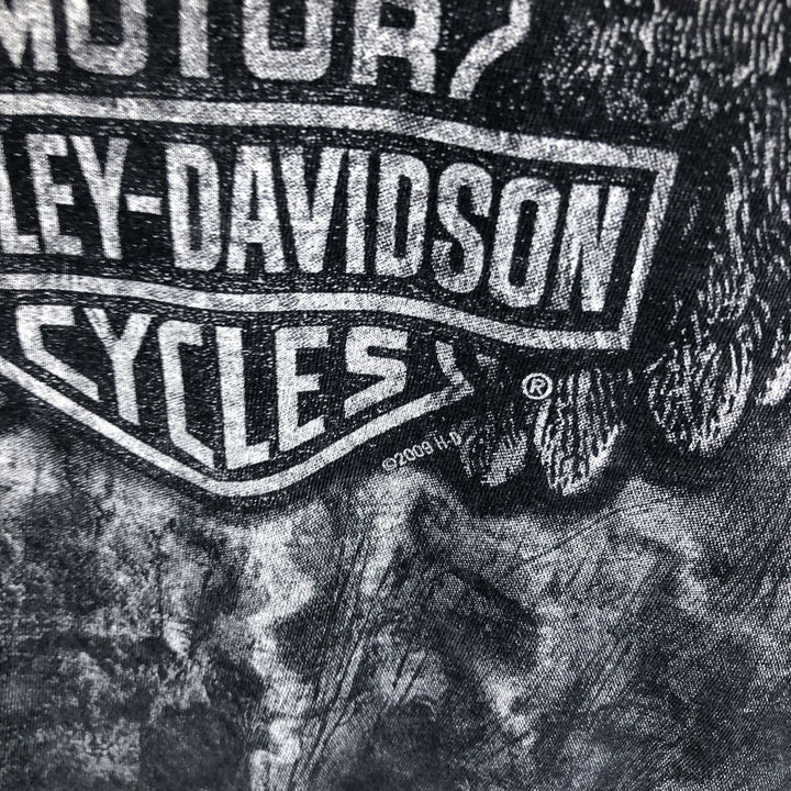 00'S Harley-Davidson Eagle Pattern Long T-shirt Men's L size /eaa503588