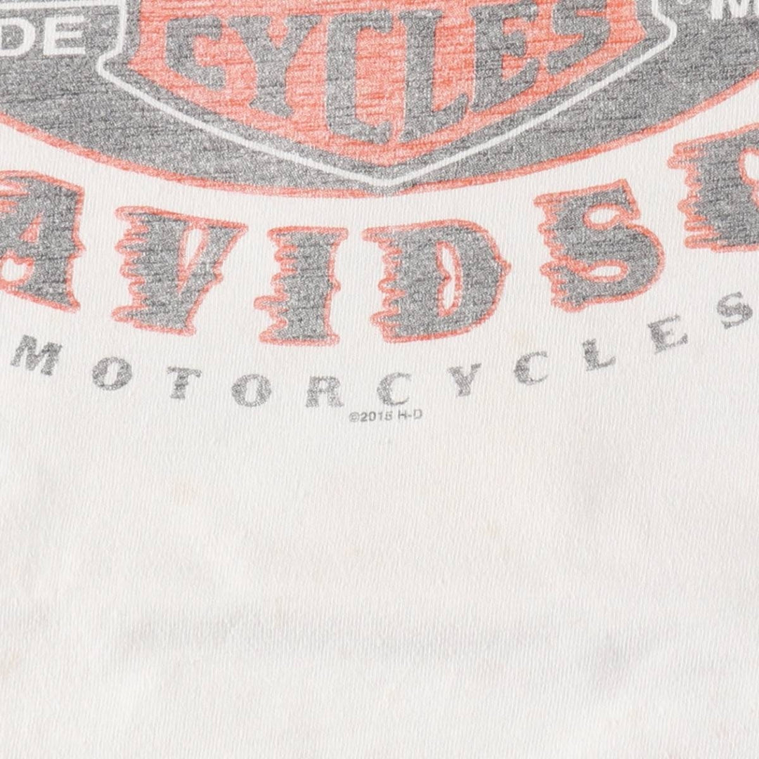 Big size Harley-Davidson long T-shirt, men's XXXL equivalent / eaa509406