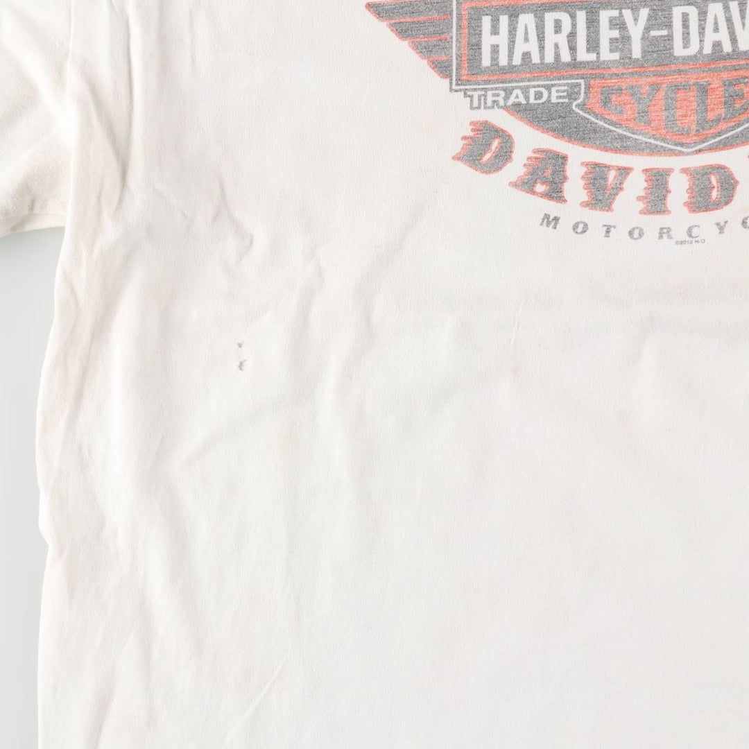 Big size Harley-Davidson long T-shirt, men's XXXL equivalent / eaa509406