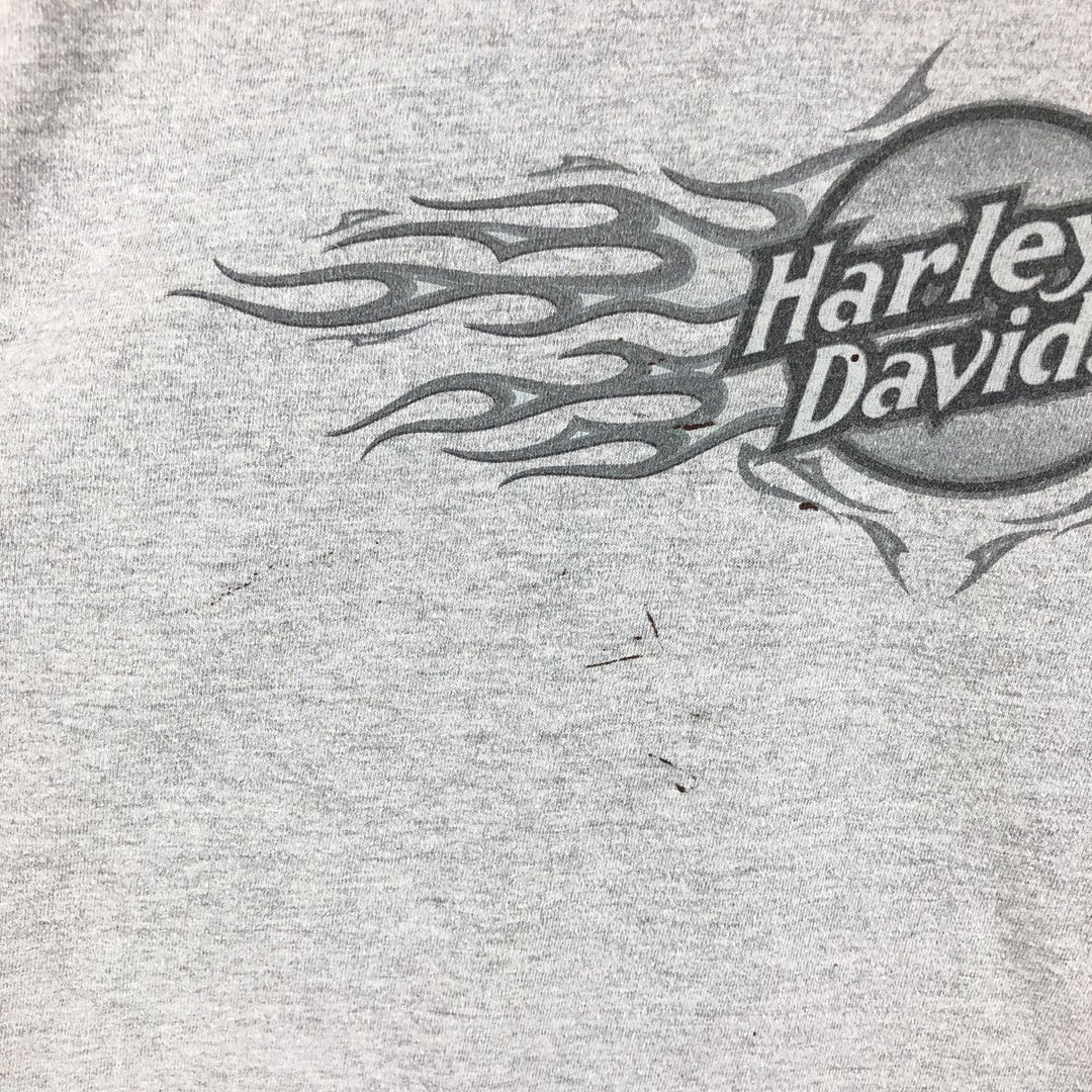 00'S Harley-Davidson Fire Pattern Long Sleeve T-Shirt Made in USA Men's L size /eaa511317