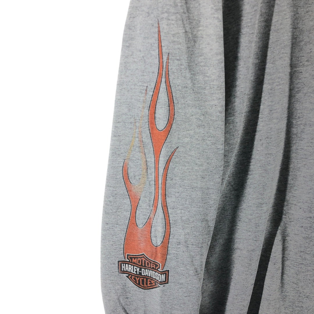 Big size 00'S Harley Davidson fire pattern long T-shirt long sleeve T made in USA men's XXXL equivalent /eaa511324