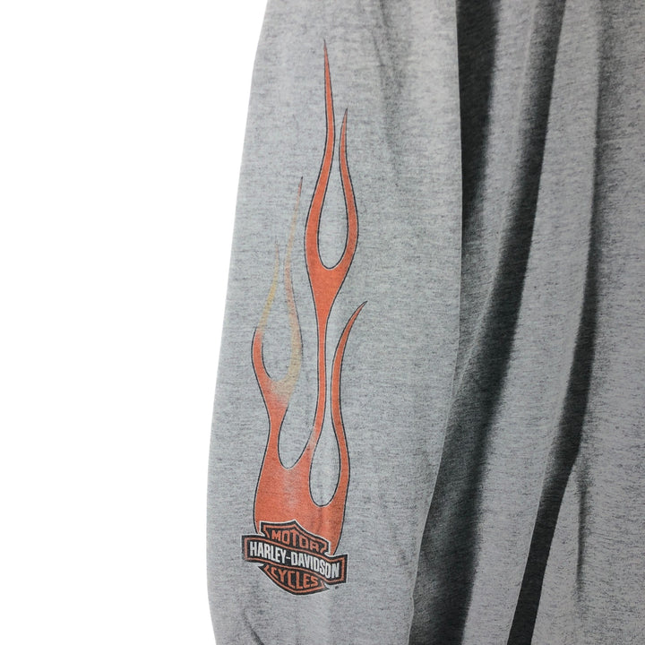 Big size 00'S Harley Davidson fire pattern long T-shirt long sleeve T made in USA men's XXXL equivalent /eaa511324